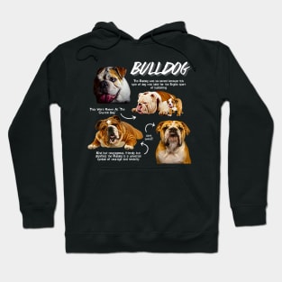 Bulldig Fun Facts Hoodie